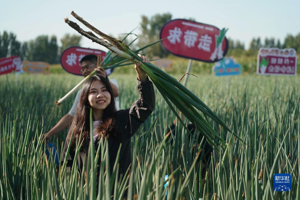 乐虎国际的网址